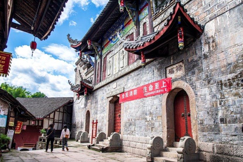 动物帮帮忙保卫家园